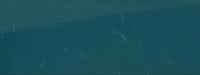 
                84252-17 Kohler Rialto Lite Toilet Tank Cover - TEAL
              