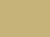 
                American Standard Round Front Toilet Seat - AUTUMN GOLD - DPF-Plumbing
              