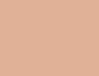 
                American Standard Round Front Toilet Seat - BERMUDA CORAL - DPF-Plumbing
              