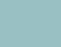 
                American Standard Round Front Toilet Seat - LIGHT TURQUOISE - DPF-Plumbing
              