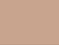 
                American Standard Round Front Toilet Seat - PERSIAN BROWN - DPF-Plumbing
              