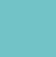 
                American Standard Round Front Toilet Seat - SURF GREEN - DPF-Plumbing
              
