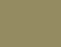 
                Briggs Round Front Toilet Seat - AVOCADO - DPF-Plumbing
              