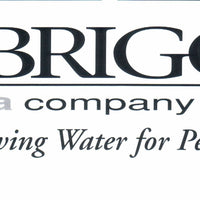 Briggs Replacement Tank Handle  - BRUSHED NICKEL